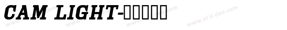 Cam Light字体转换